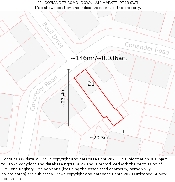 21, CORIANDER ROAD, DOWNHAM MARKET, PE38 9WB: Plot and title map