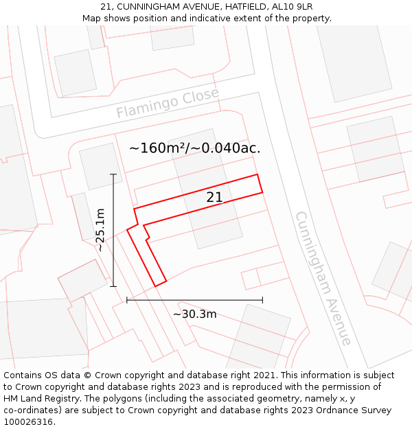 21, CUNNINGHAM AVENUE, HATFIELD, AL10 9LR: Plot and title map