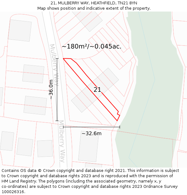 21, MULBERRY WAY, HEATHFIELD, TN21 8YN: Plot and title map