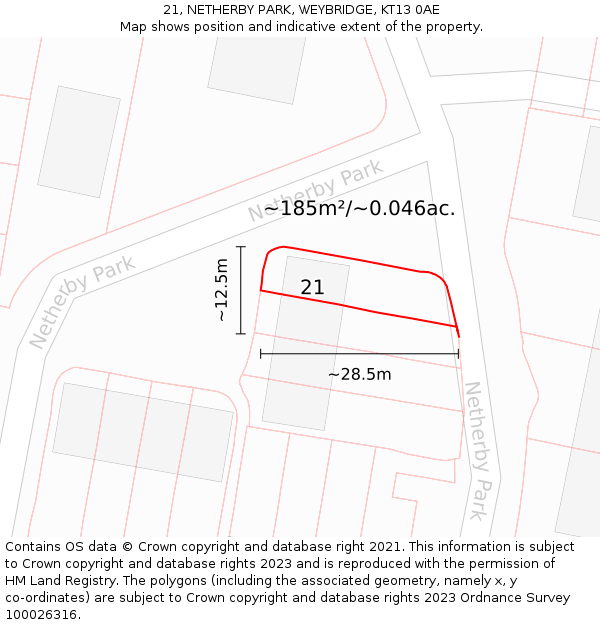 21, NETHERBY PARK, WEYBRIDGE, KT13 0AE: Plot and title map