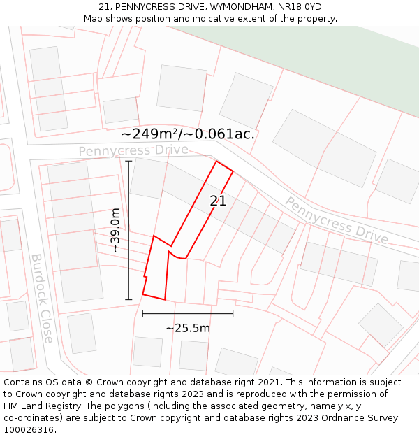 21, PENNYCRESS DRIVE, WYMONDHAM, NR18 0YD: Plot and title map