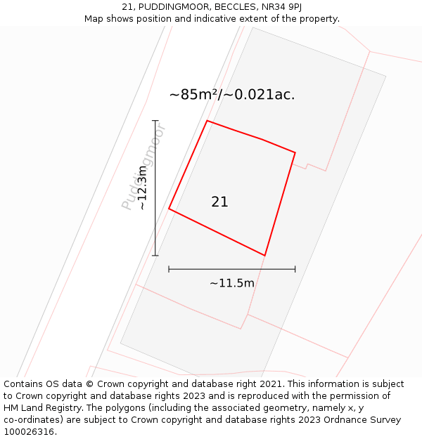21, PUDDINGMOOR, BECCLES, NR34 9PJ: Plot and title map