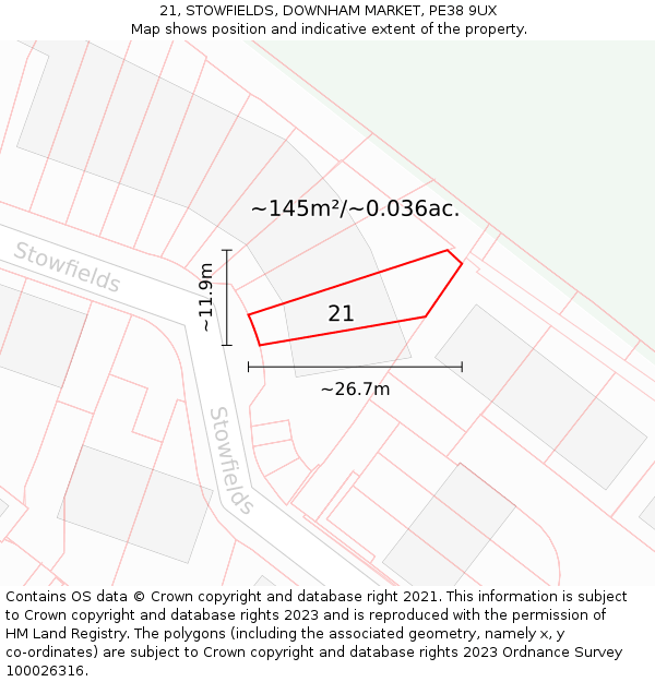 21, STOWFIELDS, DOWNHAM MARKET, PE38 9UX: Plot and title map