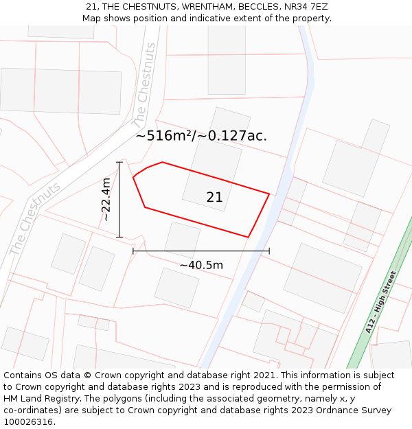 21, THE CHESTNUTS, WRENTHAM, BECCLES, NR34 7EZ: Plot and title map