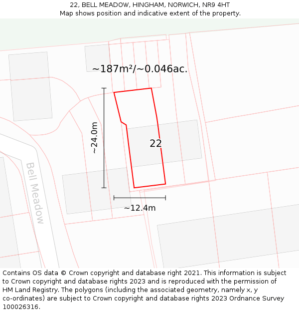 22, BELL MEADOW, HINGHAM, NORWICH, NR9 4HT: Plot and title map