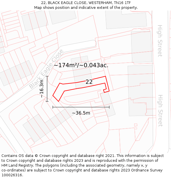 22, BLACK EAGLE CLOSE, WESTERHAM, TN16 1TF: Plot and title map