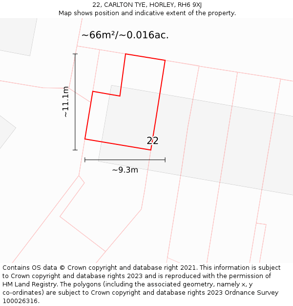 22, CARLTON TYE, HORLEY, RH6 9XJ: Plot and title map