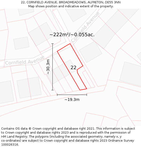 22, CORNFIELD AVENUE, BROADMEADOWS, ALFRETON, DE55 3NN: Plot and title map