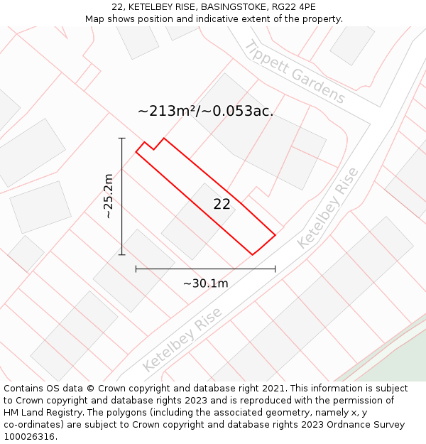 22, KETELBEY RISE, BASINGSTOKE, RG22 4PE: Plot and title map