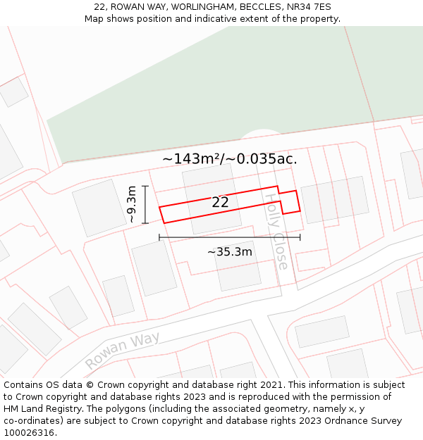 22, ROWAN WAY, WORLINGHAM, BECCLES, NR34 7ES: Plot and title map