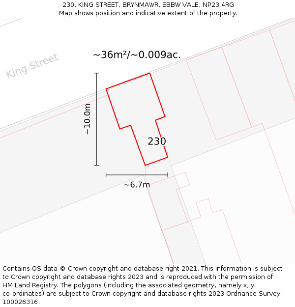230, KING STREET, BRYNMAWR, EBBW VALE, NP23 4RG: Plot and title map