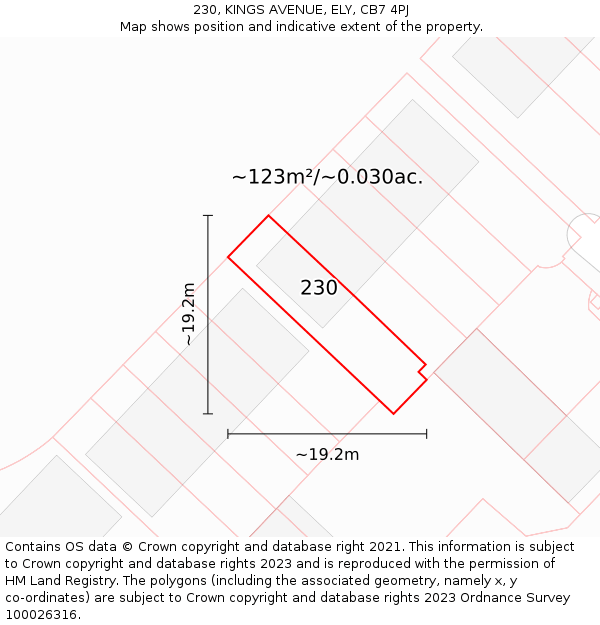 230, KINGS AVENUE, ELY, CB7 4PJ: Plot and title map