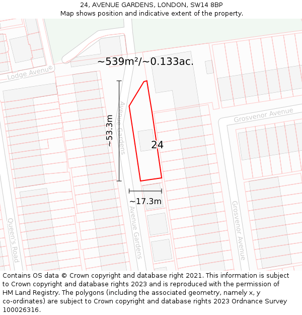24, AVENUE GARDENS, LONDON, SW14 8BP: Plot and title map