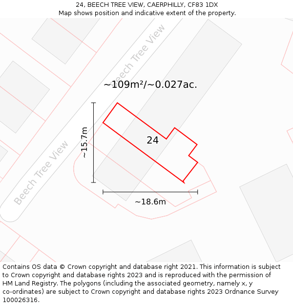 24, BEECH TREE VIEW, CAERPHILLY, CF83 1DX: Plot and title map
