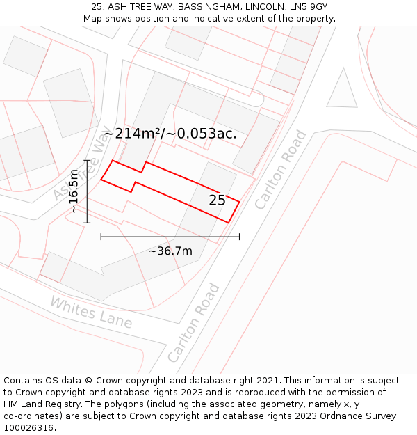 25, ASH TREE WAY, BASSINGHAM, LINCOLN, LN5 9GY: Plot and title map
