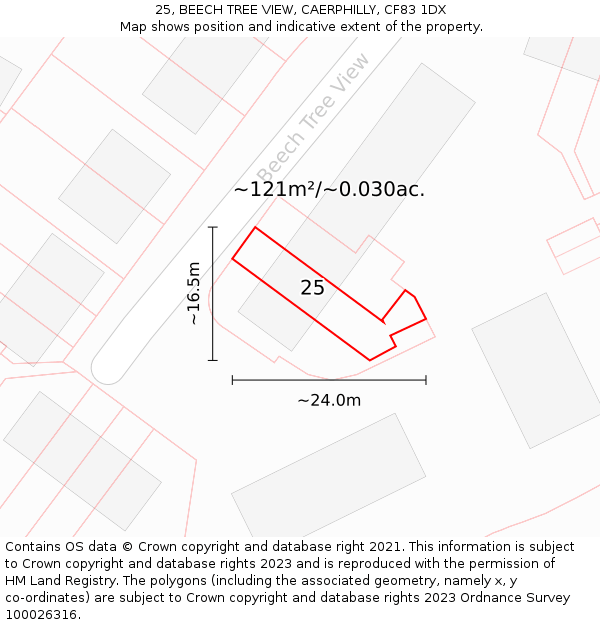 25, BEECH TREE VIEW, CAERPHILLY, CF83 1DX: Plot and title map