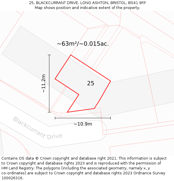 25, BLACKCURRANT DRIVE, LONG ASHTON, BRISTOL, BS41 9FP: Plot and title map