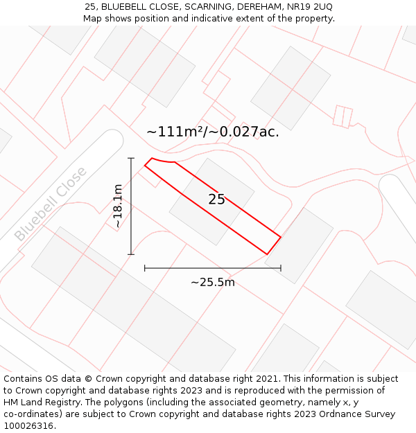 25, BLUEBELL CLOSE, SCARNING, DEREHAM, NR19 2UQ: Plot and title map