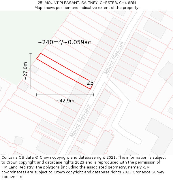 25, MOUNT PLEASANT, SALTNEY, CHESTER, CH4 8BN: Plot and title map