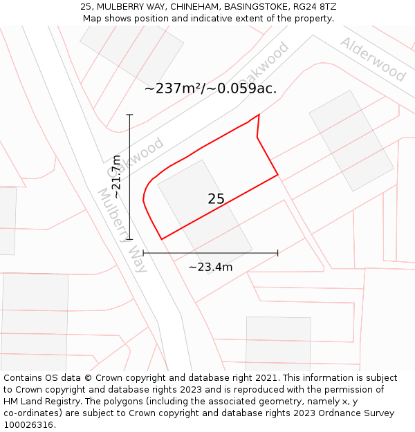 25, MULBERRY WAY, CHINEHAM, BASINGSTOKE, RG24 8TZ: Plot and title map