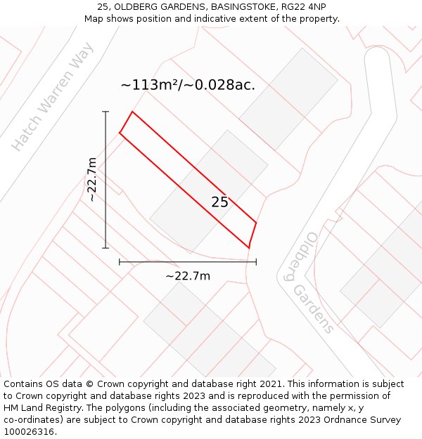 25, OLDBERG GARDENS, BASINGSTOKE, RG22 4NP: Plot and title map