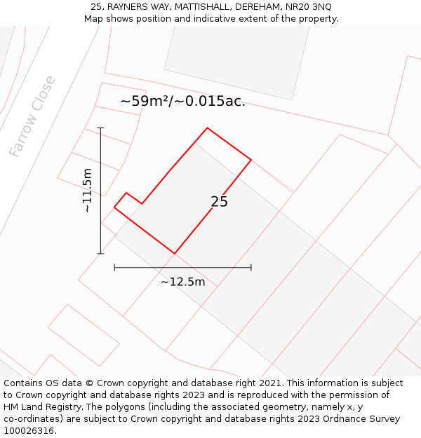 25, RAYNERS WAY, MATTISHALL, DEREHAM, NR20 3NQ: Plot and title map