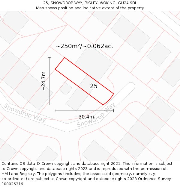 25, SNOWDROP WAY, BISLEY, WOKING, GU24 9BL: Plot and title map