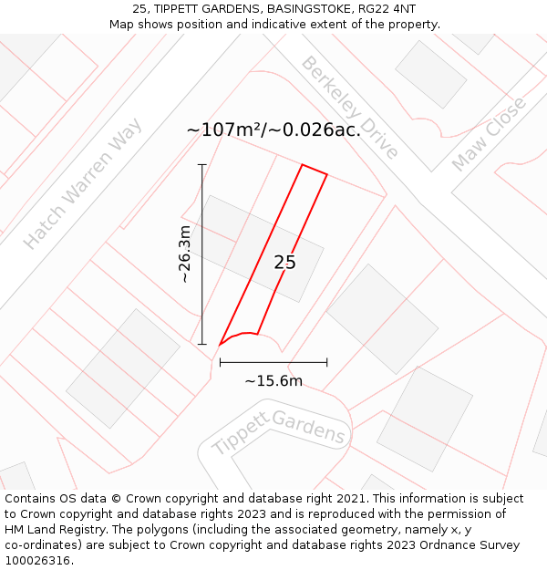25, TIPPETT GARDENS, BASINGSTOKE, RG22 4NT: Plot and title map
