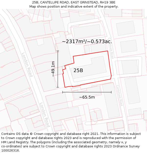 25B, CANTELUPE ROAD, EAST GRINSTEAD, RH19 3BE: Plot and title map