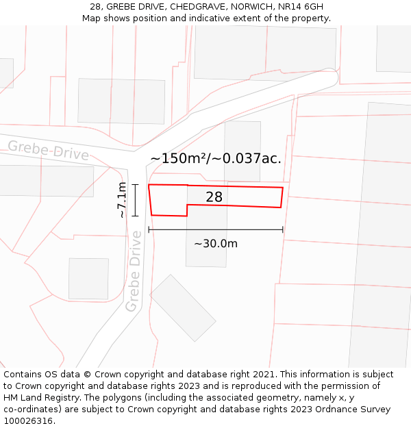 28, GREBE DRIVE, CHEDGRAVE, NORWICH, NR14 6GH: Plot and title map