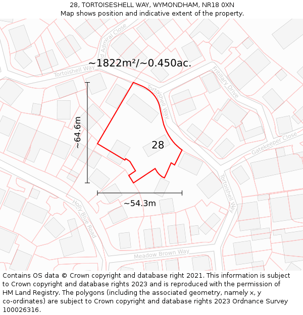 28, TORTOISESHELL WAY, WYMONDHAM, NR18 0XN: Plot and title map