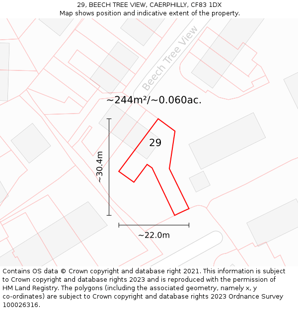 29, BEECH TREE VIEW, CAERPHILLY, CF83 1DX: Plot and title map