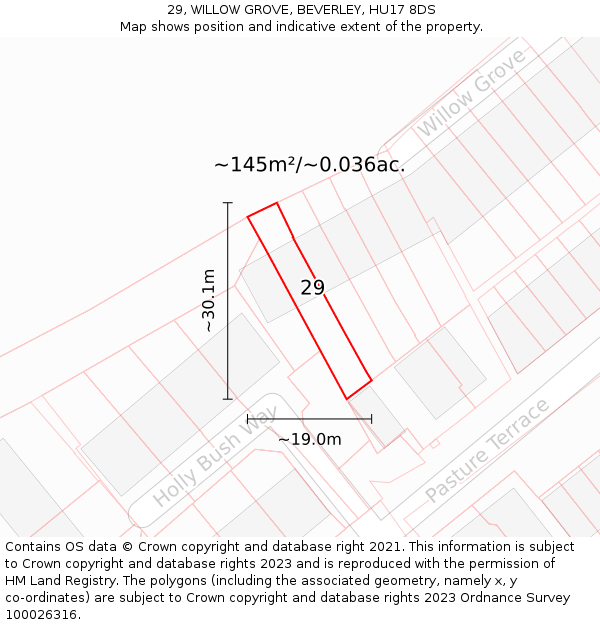29, WILLOW GROVE, BEVERLEY, HU17 8DS: Plot and title map