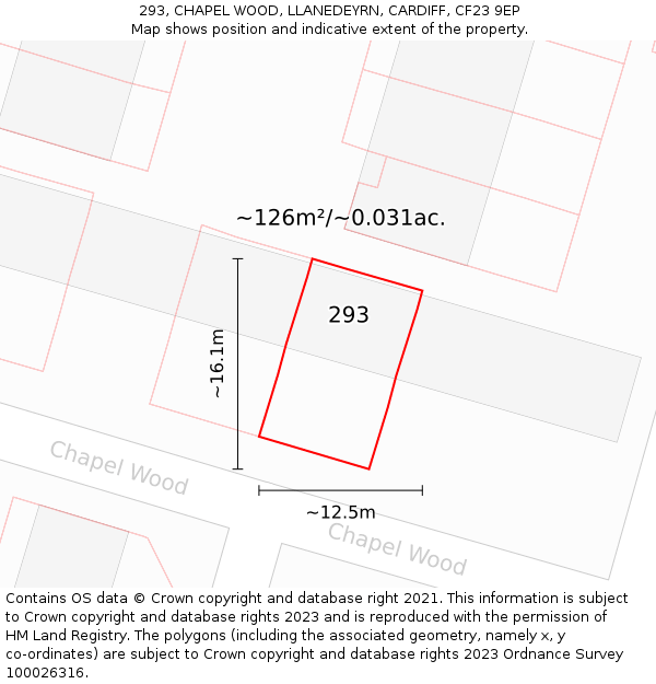 293, CHAPEL WOOD, LLANEDEYRN, CARDIFF, CF23 9EP: Plot and title map
