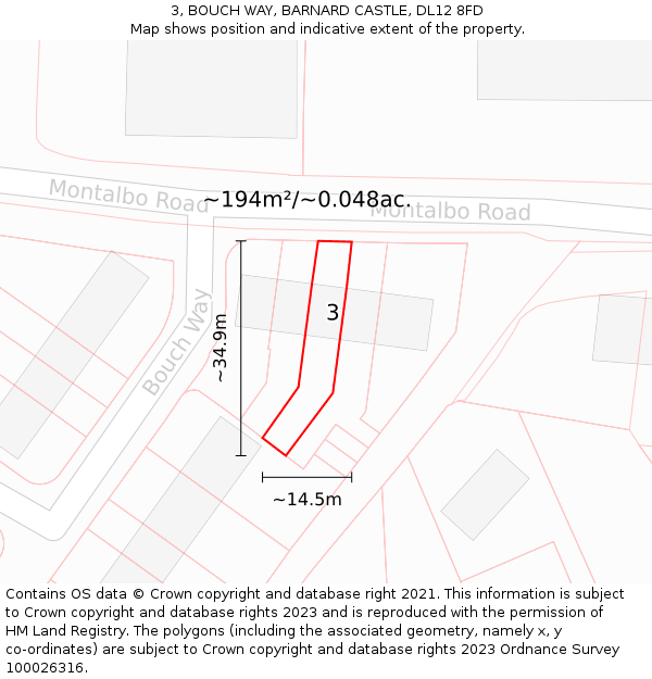 3, BOUCH WAY, BARNARD CASTLE, DL12 8FD: Plot and title map