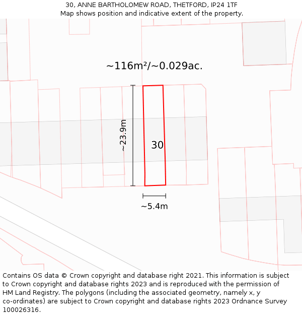 30, ANNE BARTHOLOMEW ROAD, THETFORD, IP24 1TF: Plot and title map