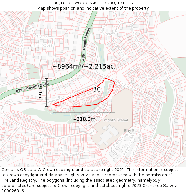 30, BEECHWOOD PARC, TRURO, TR1 1FA: Plot and title map