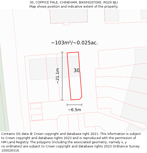 30, COPPICE PALE, CHINEHAM, BASINGSTOKE, RG24 8JU: Plot and title map