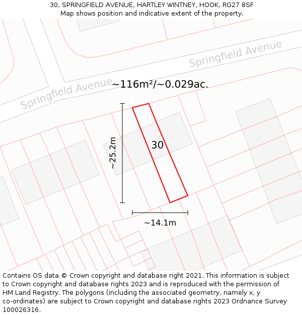 30, SPRINGFIELD AVENUE, HARTLEY WINTNEY, HOOK, RG27 8SF: Plot and title map
