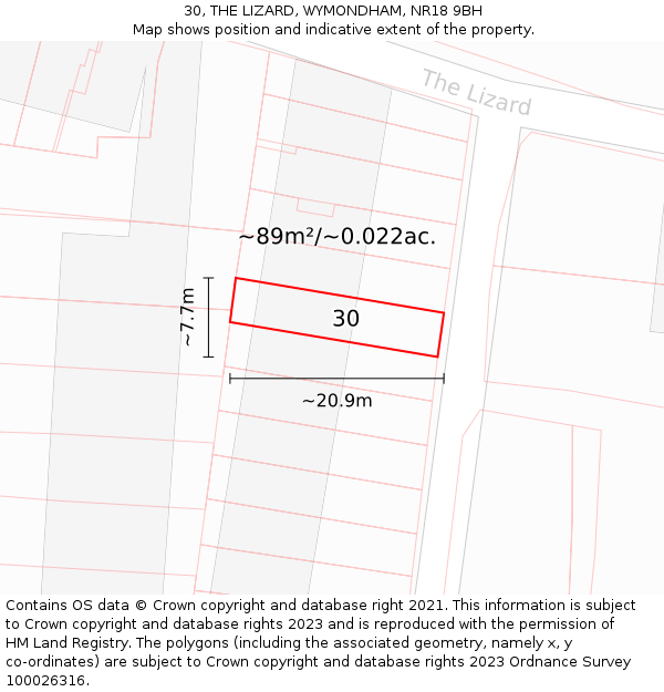 30, THE LIZARD, WYMONDHAM, NR18 9BH: Plot and title map