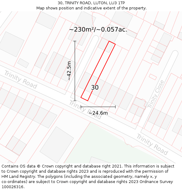 30, TRINITY ROAD, LUTON, LU3 1TP: Plot and title map