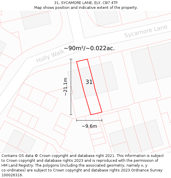 31, SYCAMORE LANE, ELY, CB7 4TP: Plot and title map