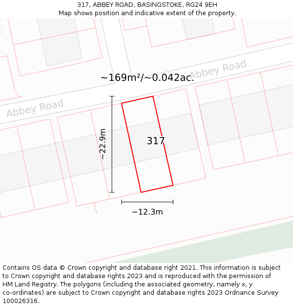 317, ABBEY ROAD, BASINGSTOKE, RG24 9EH: Plot and title map