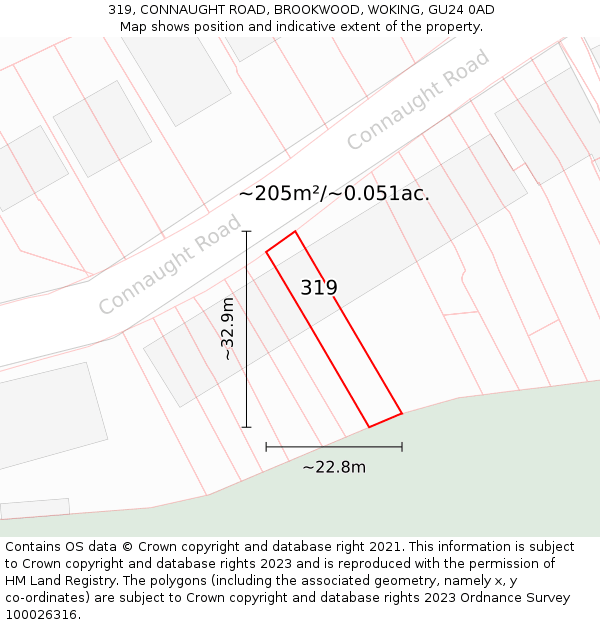 319, CONNAUGHT ROAD, BROOKWOOD, WOKING, GU24 0AD: Plot and title map