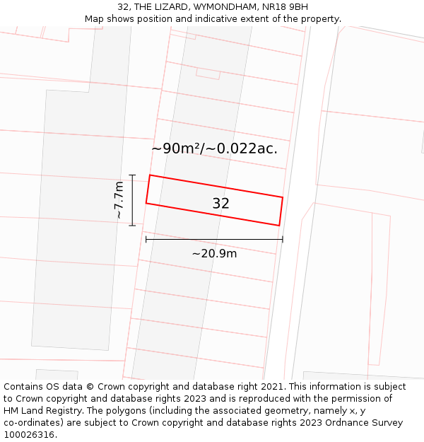 32, THE LIZARD, WYMONDHAM, NR18 9BH: Plot and title map