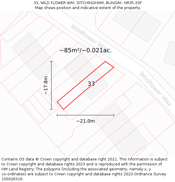 33, WILD FLOWER WAY, DITCHINGHAM, BUNGAY, NR35 2SF: Plot and title map