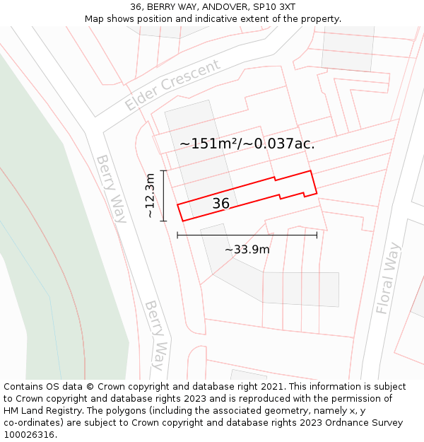 36, BERRY WAY, ANDOVER, SP10 3XT: Plot and title map