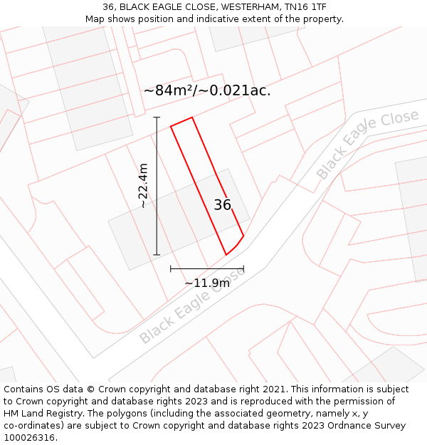 36, BLACK EAGLE CLOSE, WESTERHAM, TN16 1TF: Plot and title map