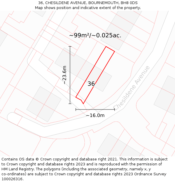 36, CHESILDENE AVENUE, BOURNEMOUTH, BH8 0DS: Plot and title map
