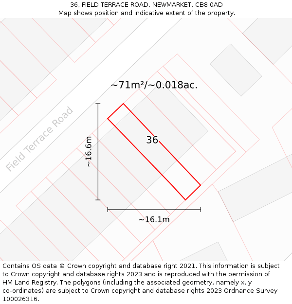 36, FIELD TERRACE ROAD, NEWMARKET, CB8 0AD: Plot and title map